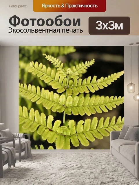 Фотообои Зеленый папоротник Frond крупным планом