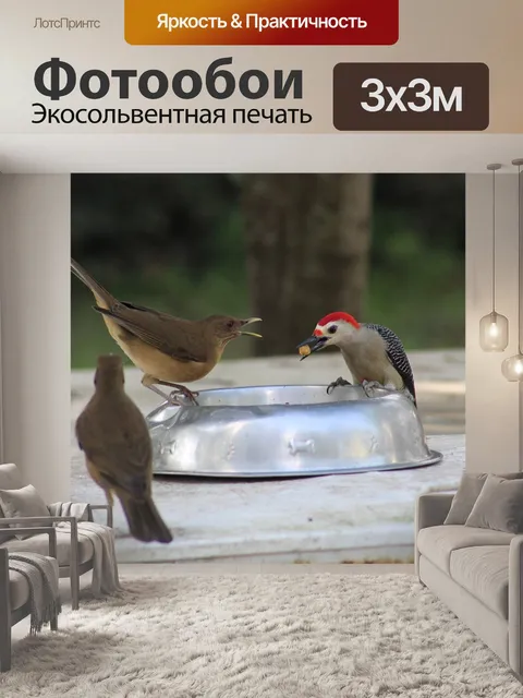 Фотообои Птицы