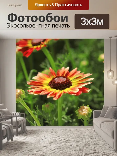 Фотообои Цветы
