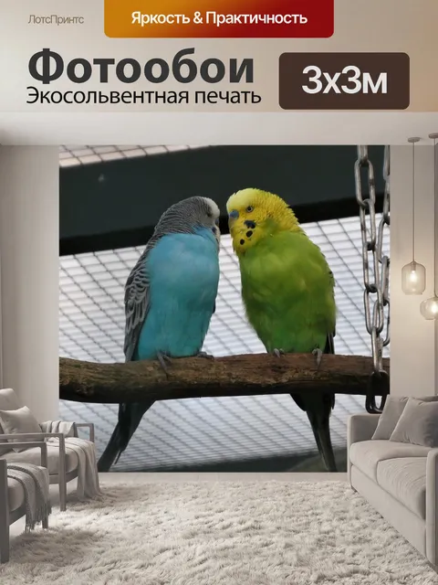 Фотообои Попугаи