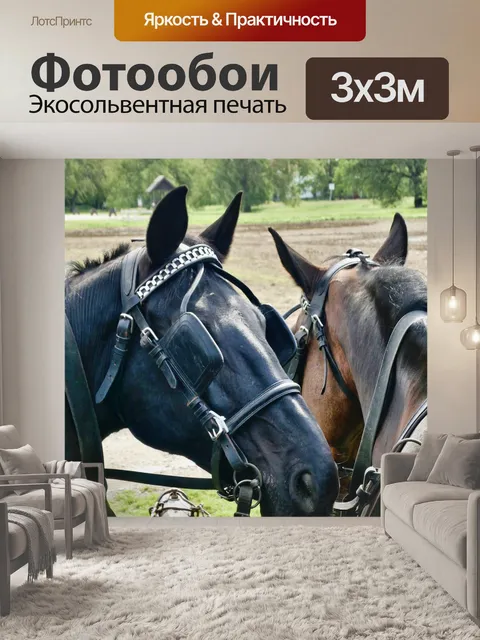 Фотообои Лошади
