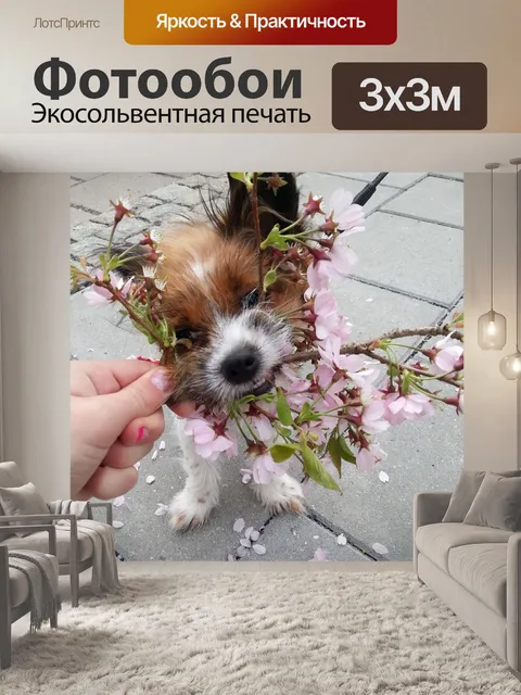 Фотообои Собака