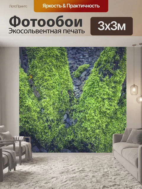 Фотообои Мох