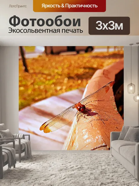 Фотообои Стрекоза