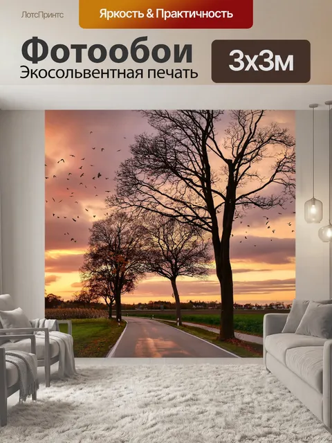 Фотообои Дорога