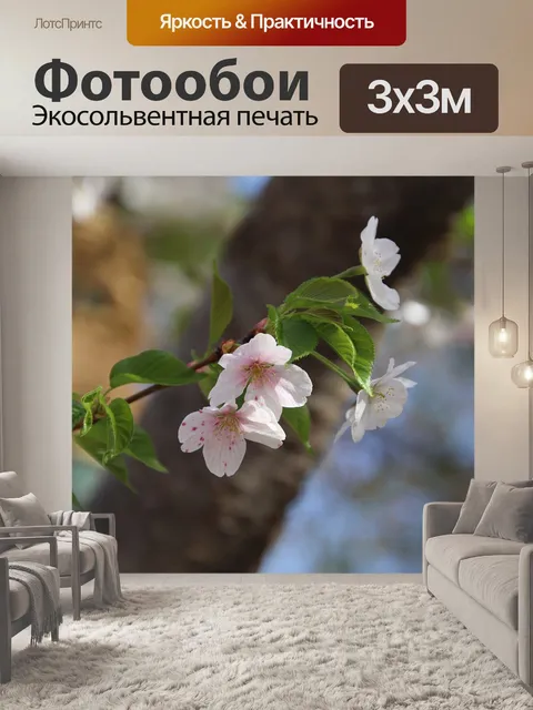 Фотообои Цветы