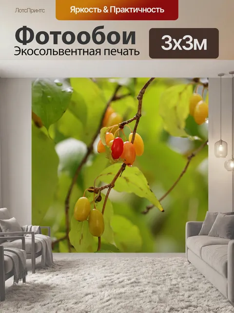 Фотообои Фрукты