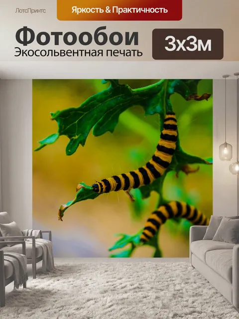 Фотообои Гусеницы