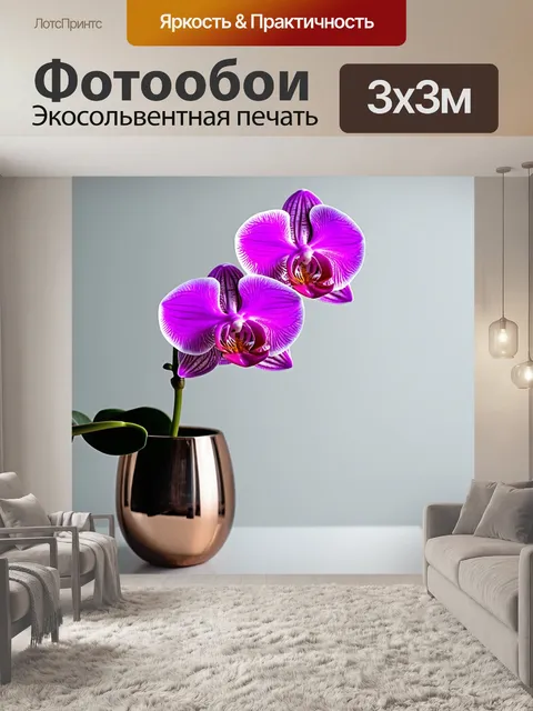 Фотообои орхидея в элегантной вазе, минималистичный стиль