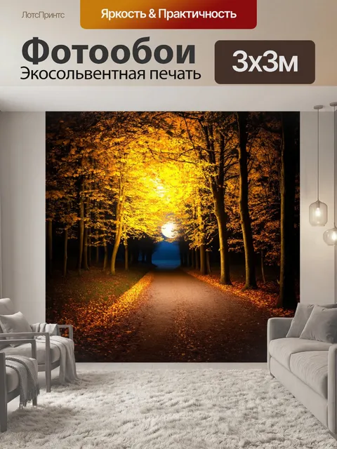 Фотообои темный фон, осенний лес, яркие пожелтевшие листья, тропинки, освещённые лунным светом, шёпот ветра…
