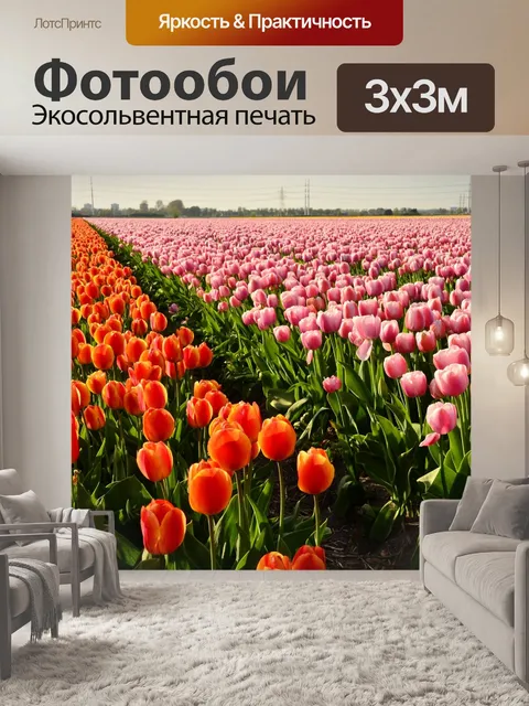 Фотообои Тюльпаны