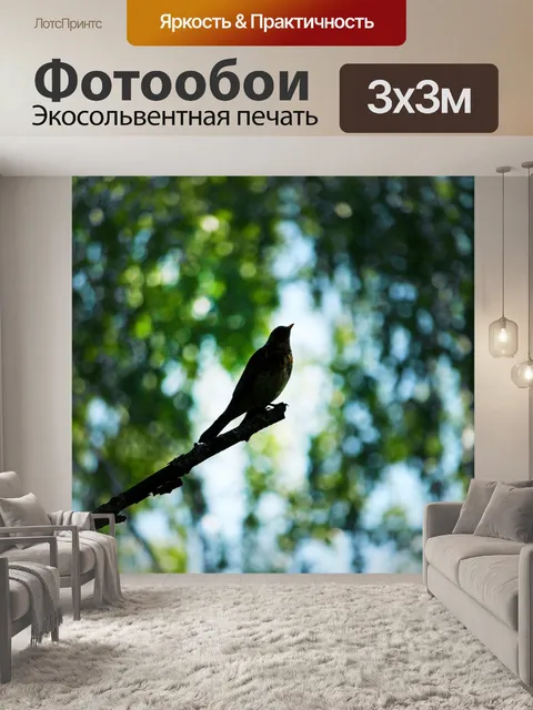 Фотообои Птица