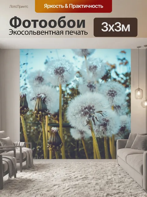 Фотообои Одуванчик