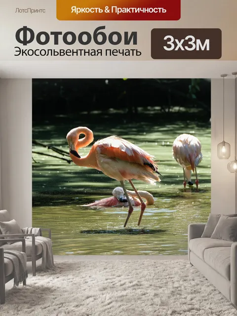 Фотообои Фламинго