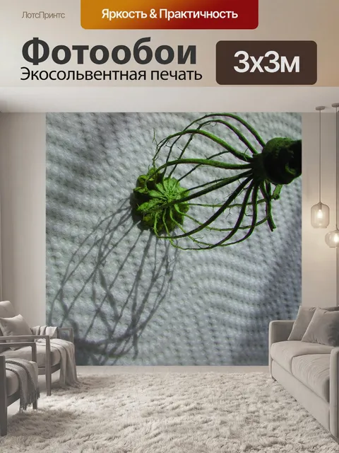 Фотообои Маки