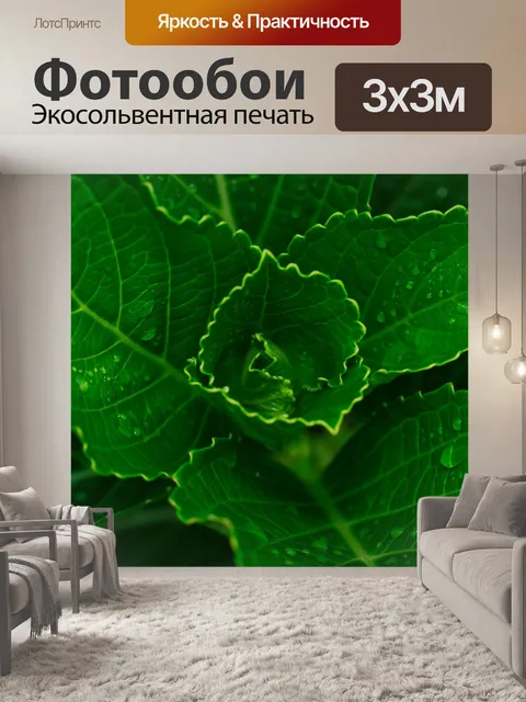Фотообои Листья