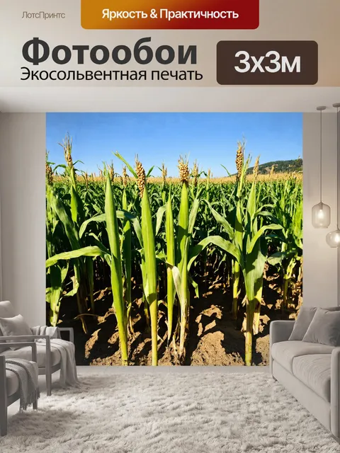 Фотообои в бескрайнем кукурузном поле