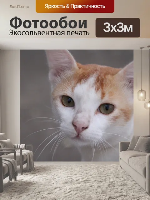 Фотообои Кошка