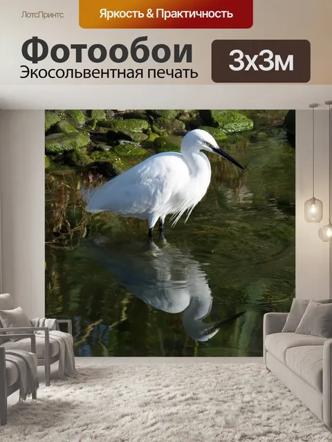Фотообои Птица