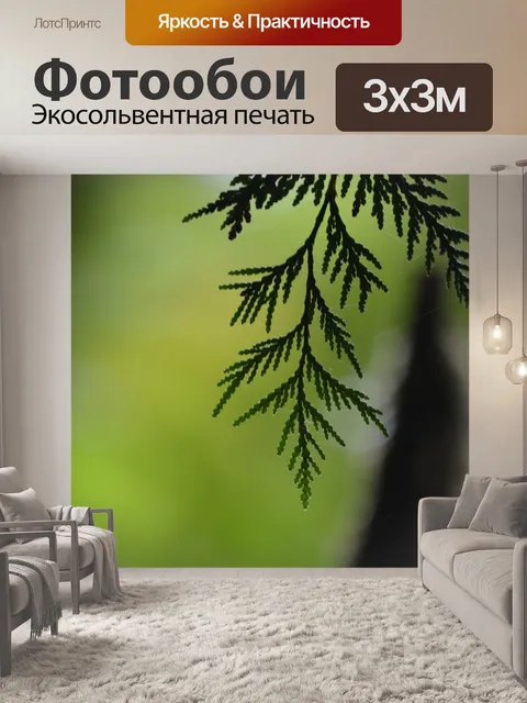Фотообои Кедр