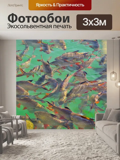 Фотообои Рыбы