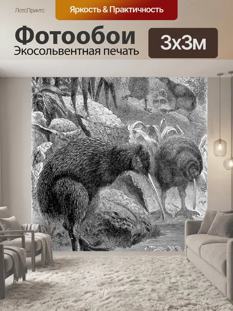 Фотообои Киви