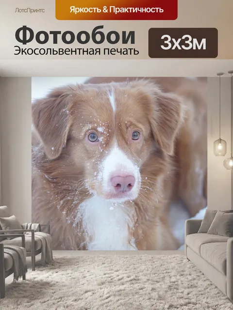 Фотообои Собака