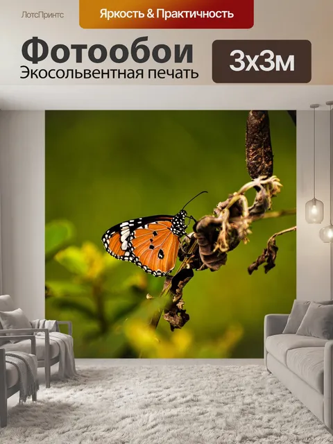 Фотообои Бабочка