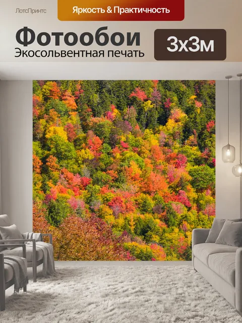 Фотообои Новая Англия листва