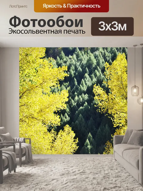 Фотообои Дерево