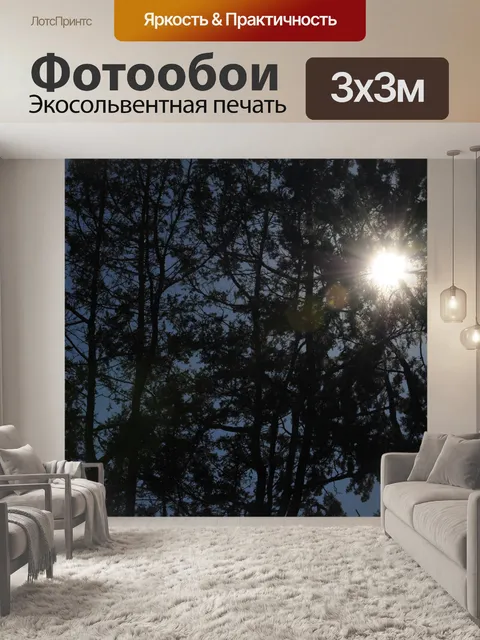 Фотообои силуэт деревья