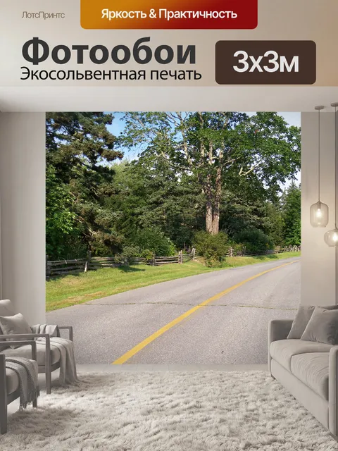 Фотообои Сельская дорога