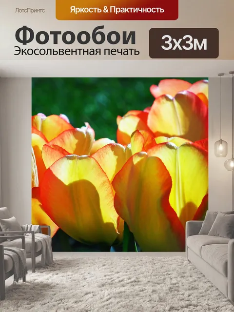 Фотообои Тюльпаны