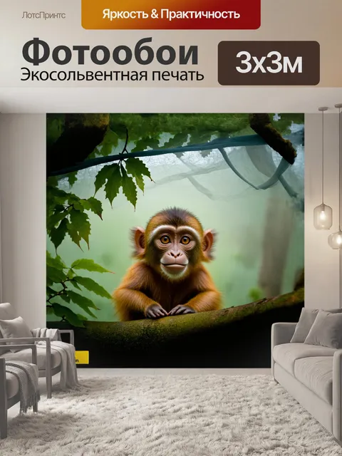 Фотообои в туманном утреннем лесу