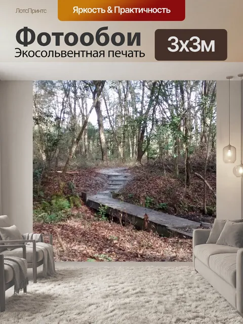 Фотообои Одинокая прогулка