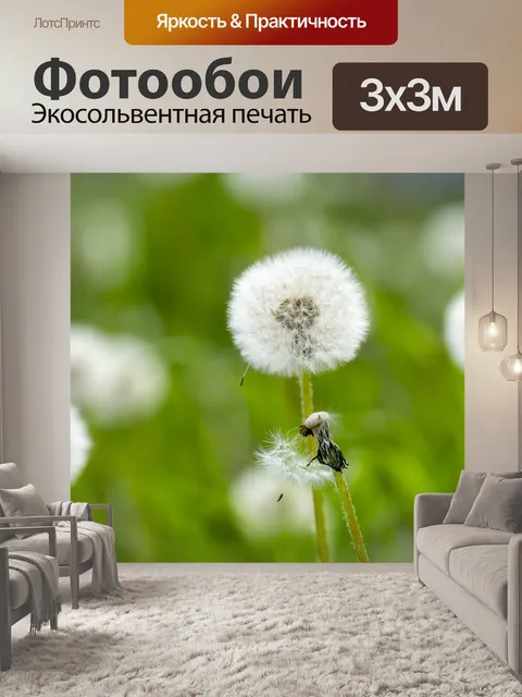 Фотообои Одуванчик