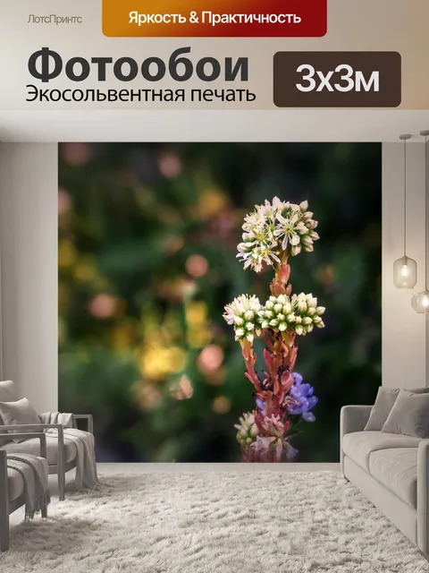 Фотообои Цветы