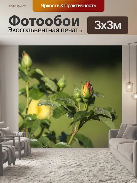 Фотообои Сад