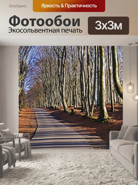 Фотообои Тевтобургский лес