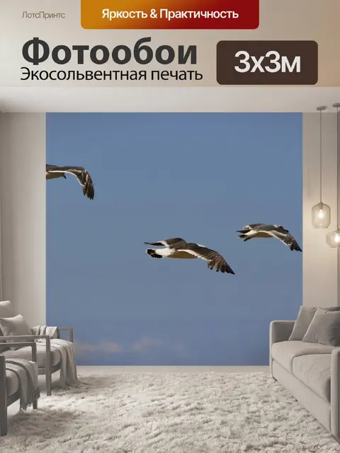Фотообои Животное