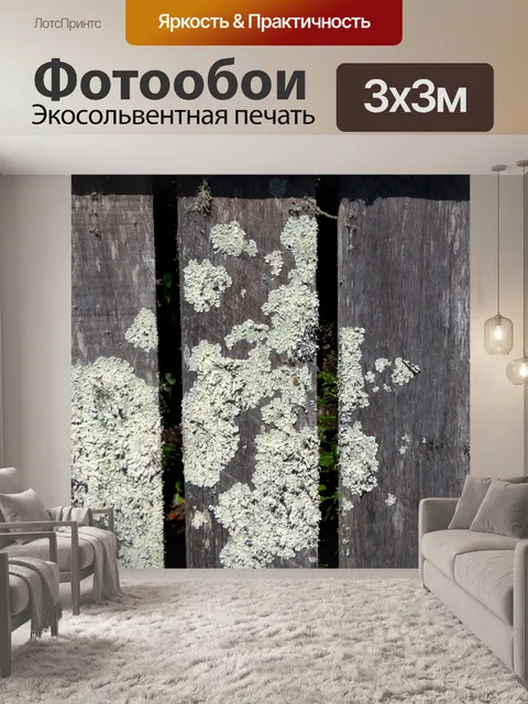 Фотообои Плесень на деревянном заборе