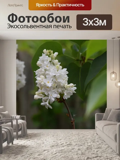 Фотообои Цветы