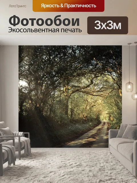 Фотообои Дорожка