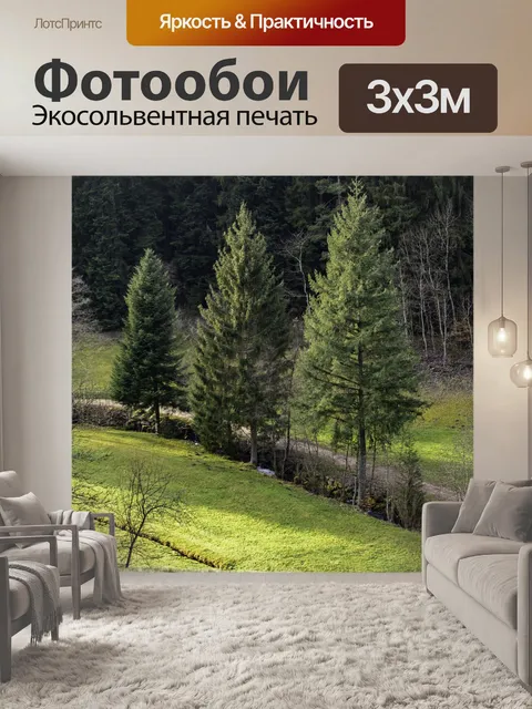 Фотообои Черный лес