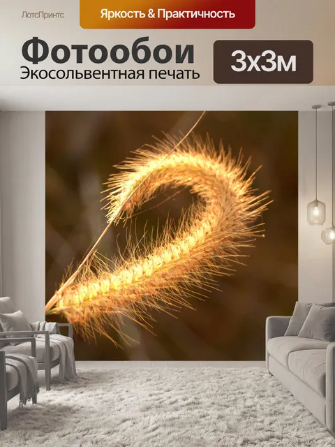 Фотообои Цветки одичалые Стоковая Фотография