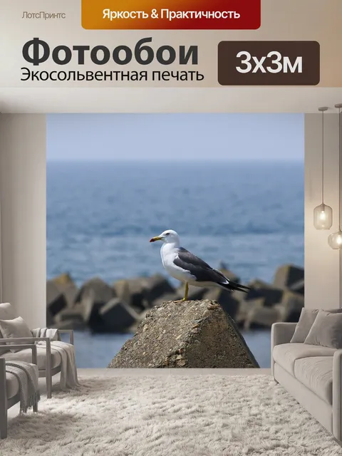 Фотообои Животное