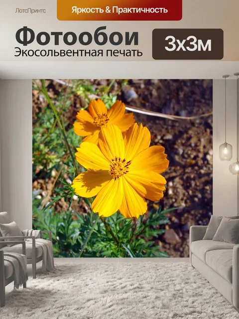 Фотообои Космос