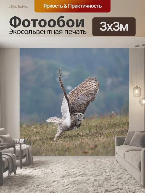 Фотообои Птица