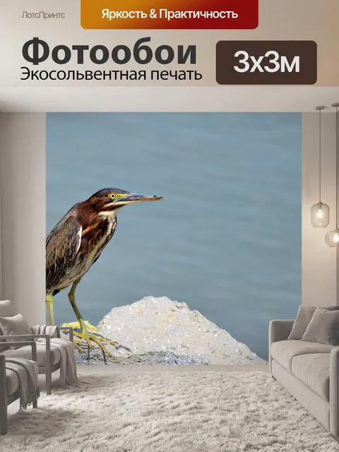 Фотообои Птица