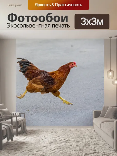 Фотообои Курица